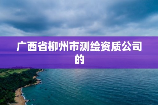 广西省柳州市测绘资质公司的