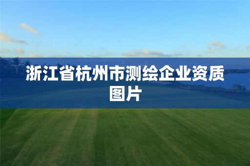 浙江省杭州市测绘企业资质图片