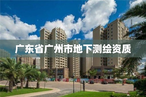 广东省广州市地下测绘资质