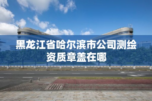 黑龙江省哈尔滨市公司测绘资质章盖在哪