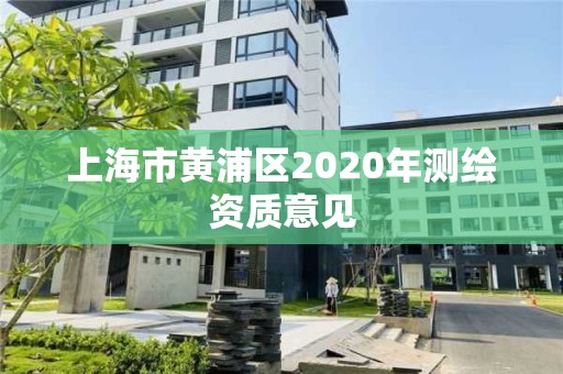 上海市黄浦区2020年测绘资质意见