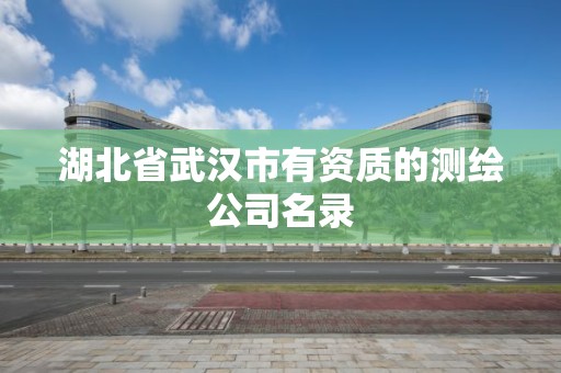 湖北省武汉市有资质的测绘公司名录