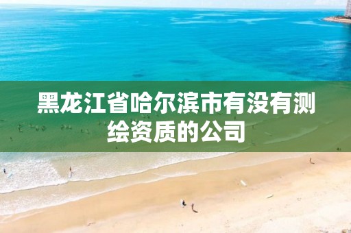 黑龙江省哈尔滨市有没有测绘资质的公司