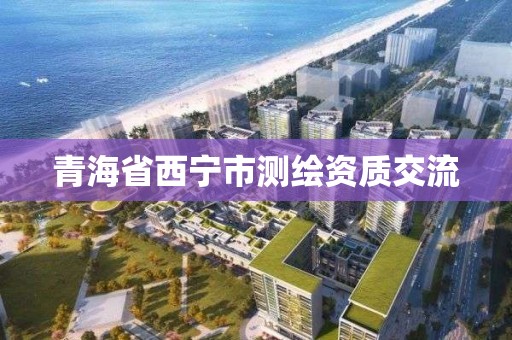 青海省西宁市测绘资质交流