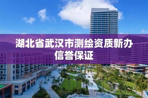 湖北省武汉市测绘资质新办信誉保证