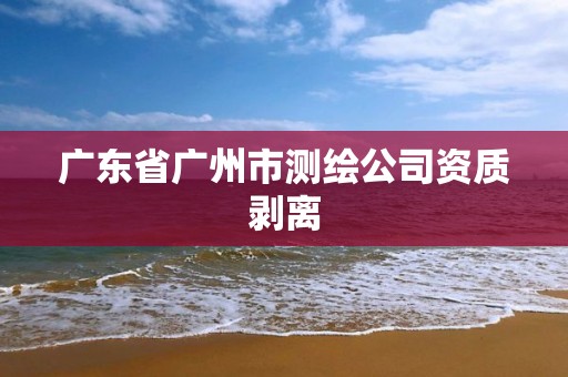 广东省广州市测绘公司资质剥离