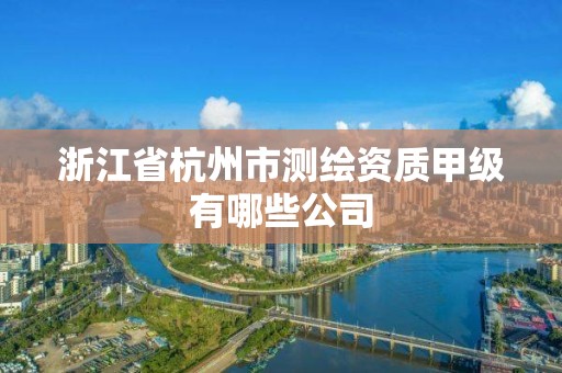 浙江省杭州市测绘资质甲级有哪些公司