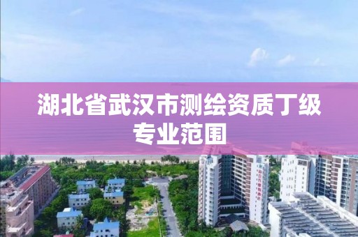 湖北省武汉市测绘资质丁级专业范围