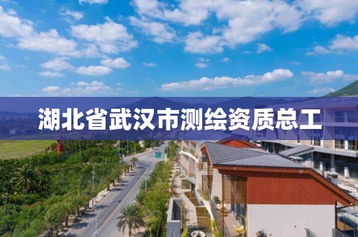 湖北省武汉市测绘资质总工