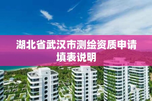 湖北省武汉市测绘资质申请填表说明