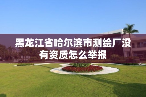 黑龙江省哈尔滨市测绘厂没有资质怎么举报