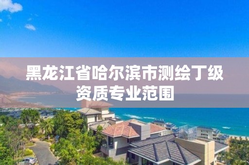 黑龙江省哈尔滨市测绘丁级资质专业范围