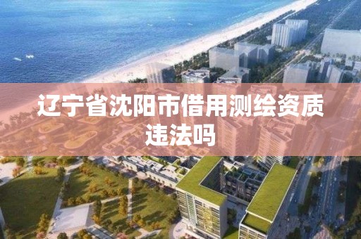 辽宁省沈阳市借用测绘资质违法吗