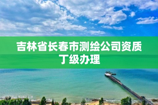 吉林省长春市测绘公司资质丁级办理