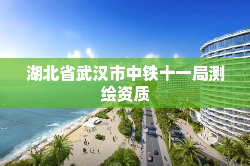 湖北省武汉市中铁十一局测绘资质