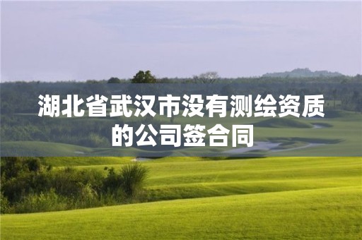 湖北省武汉市没有测绘资质的公司签合同