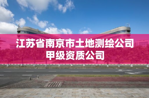 江苏省南京市土地测绘公司甲级资质公司