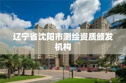 辽宁省沈阳市测绘资质颁发机构