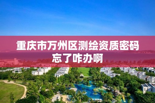 重庆市万州区测绘资质密码忘了咋办啊