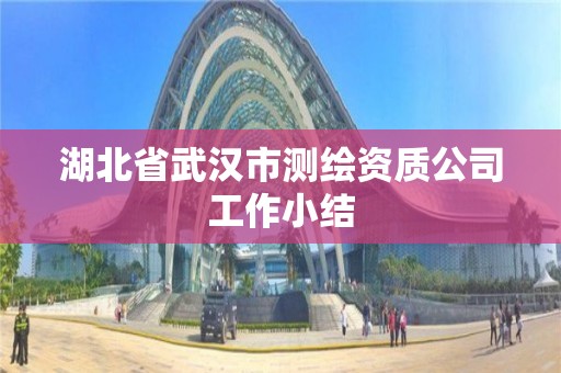 湖北省武汉市测绘资质公司工作小结