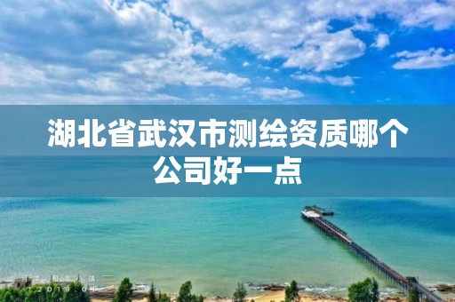 湖北省武汉市测绘资质哪个公司好一点