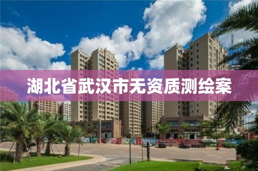 湖北省武汉市无资质测绘案