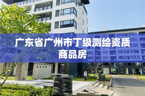 广东省广州市丁级测绘资质商品房