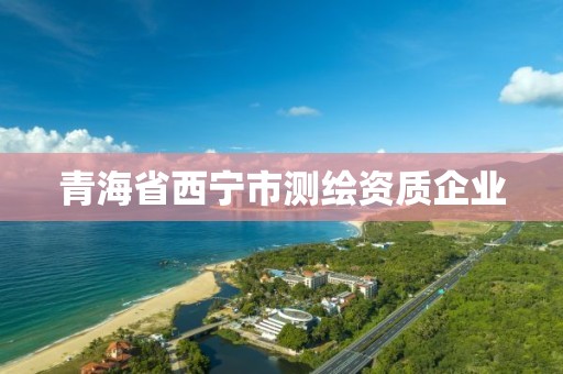 青海省西宁市测绘资质企业