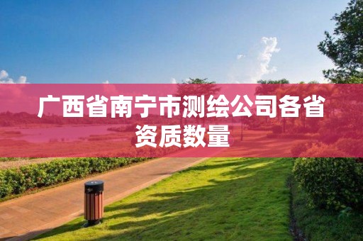 广西省南宁市测绘公司各省资质数量