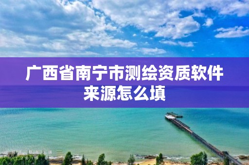 广西省南宁市测绘资质软件来源怎么填