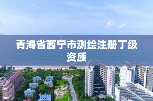 青海省西宁市测绘注册丁级资质