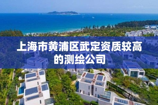 上海市黄浦区武定资质较高的测绘公司