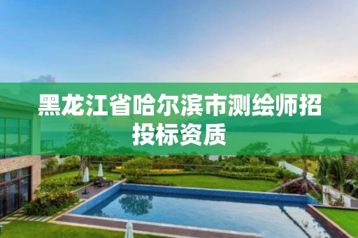 黑龙江省哈尔滨市测绘师招投标资质