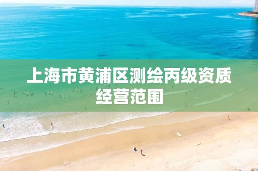 上海市黄浦区测绘丙级资质经营范围