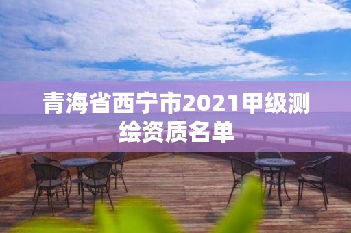 青海省西宁市2021甲级测绘资质名单