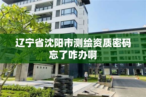 辽宁省沈阳市测绘资质密码忘了咋办啊