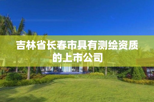 吉林省长春市具有测绘资质的上市公司