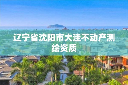 辽宁省沈阳市大洼不动产测绘资质