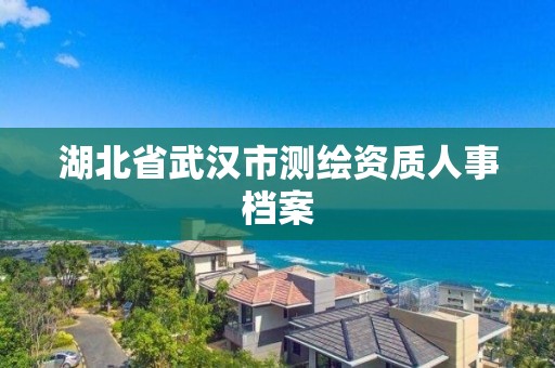 湖北省武汉市测绘资质人事档案