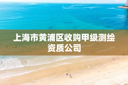 上海市黄浦区收购甲级测绘资质公司