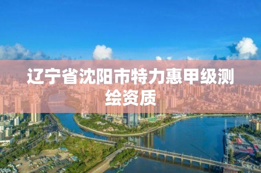 辽宁省沈阳市特力惠甲级测绘资质