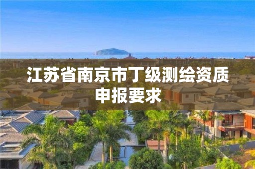 江苏省南京市丁级测绘资质申报要求