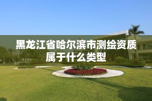 黑龙江省哈尔滨市测绘资质属于什么类型