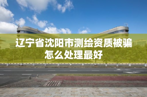 辽宁省沈阳市测绘资质被骗怎么处理最好