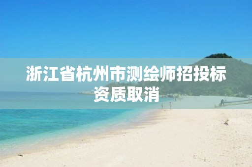 浙江省杭州市测绘师招投标资质取消