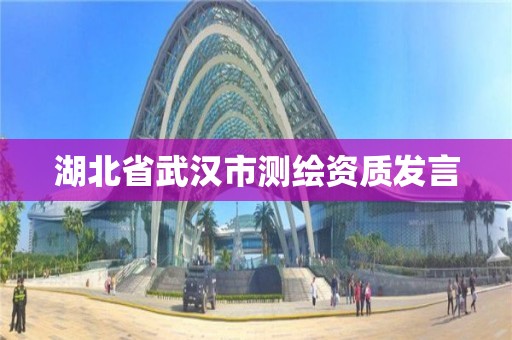 湖北省武汉市测绘资质发言