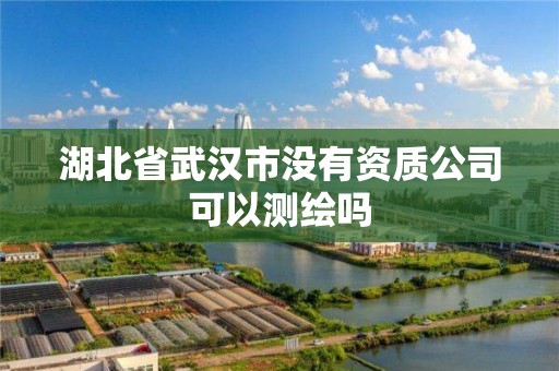 湖北省武汉市没有资质公司可以测绘吗