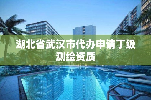 湖北省武汉市代办申请丁级测绘资质