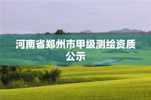 河南省郑州市甲级测绘资质公示