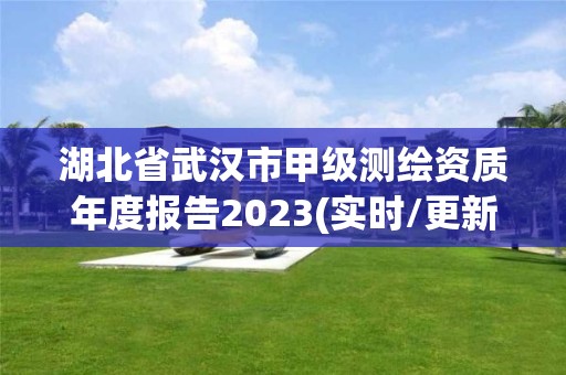 湖北省武汉市甲级测绘资质年度报告2023(实时/更新中)